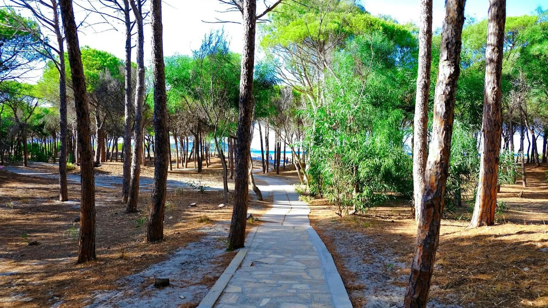 Happy Camp Mobile Homes In Selema Camping Santa Lucia  Italy